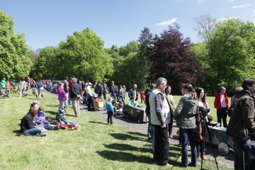 Beim Seifenkistenrennen im Prinz-Albrecht-Park schaut gewinnt nicht nur der schnellste, sondern auch der schönste Wagen.
