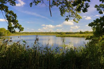 „Blick auf den Schapenbruchteich im Naturschutzgebiet Riddagshausen“ Urheber: Braunschweig Stadtmarketing GmbH / Gerald Grote